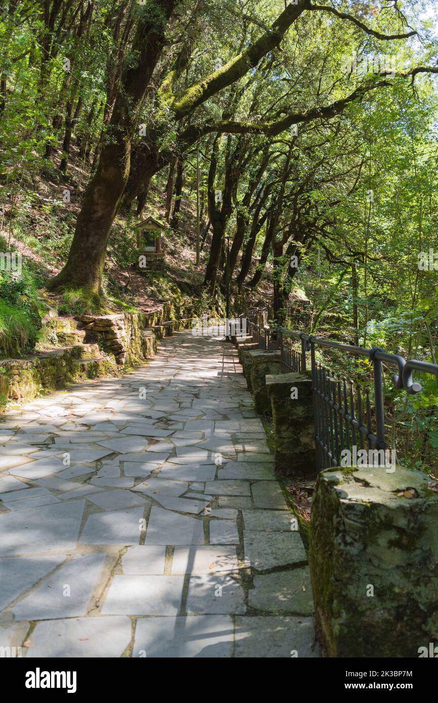 Der mosaiksteinartige Waldweg zum Heiligtum unserer Lieben Frau von Montallegro, Rapallo Norditalien ITA. September 2022 Stockfoto