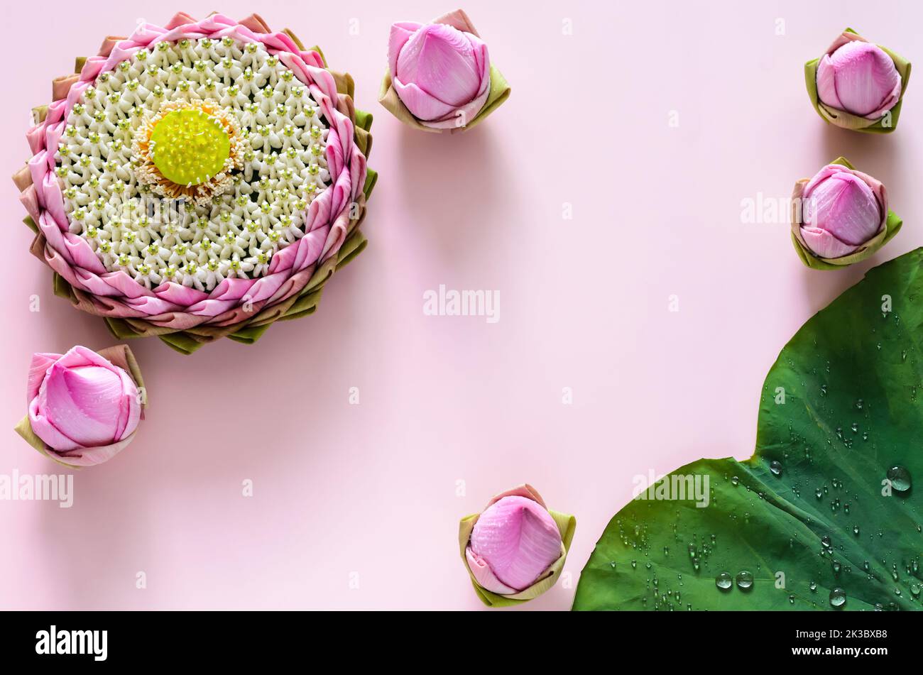 Das rosa Lotusblütenblatt krathong für Thailand das Loy Krathong Festival schmückt mit seinem Pollen und seiner Kronenblume auf rosa Hintergrund mit Lotusblume und Blatt. Stockfoto