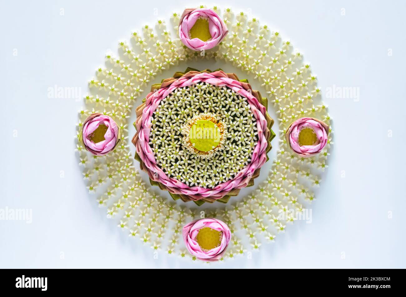 Das rosa Lotusblütenblatt krathong für Thailand das Loy Krathong Festival schmückt mit seinem Pollen und seiner Kronenblume auf weißem Grund. Stockfoto