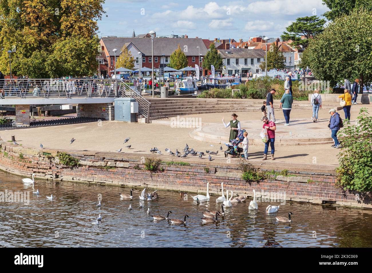 Enten und Schwäne am Wasser am Fluss Avon in Stratford-upon-Avon Stockfoto