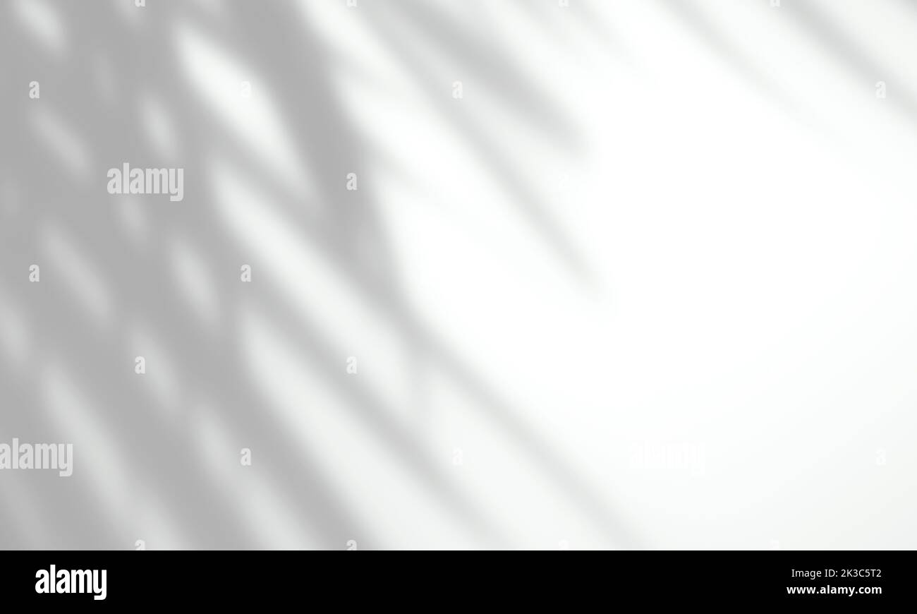 Realistische Schatten-Overlay-Mockup auf einer weißen Wand Hintergrund-Szene für Foto, Poster, Schreibwaren, Wandkunst und Design-Präsentation Stockfoto