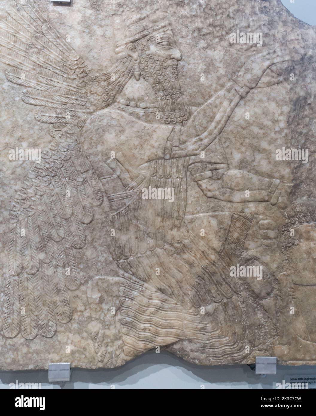 Museo Barracco. Rom Italien - Knien geflügelte Gottheit - Neo-Assyrisches Reich, aus Nordmesopotamien, Kalksteinrelief - 6. Jahrhundert v. Chr. Stockfoto