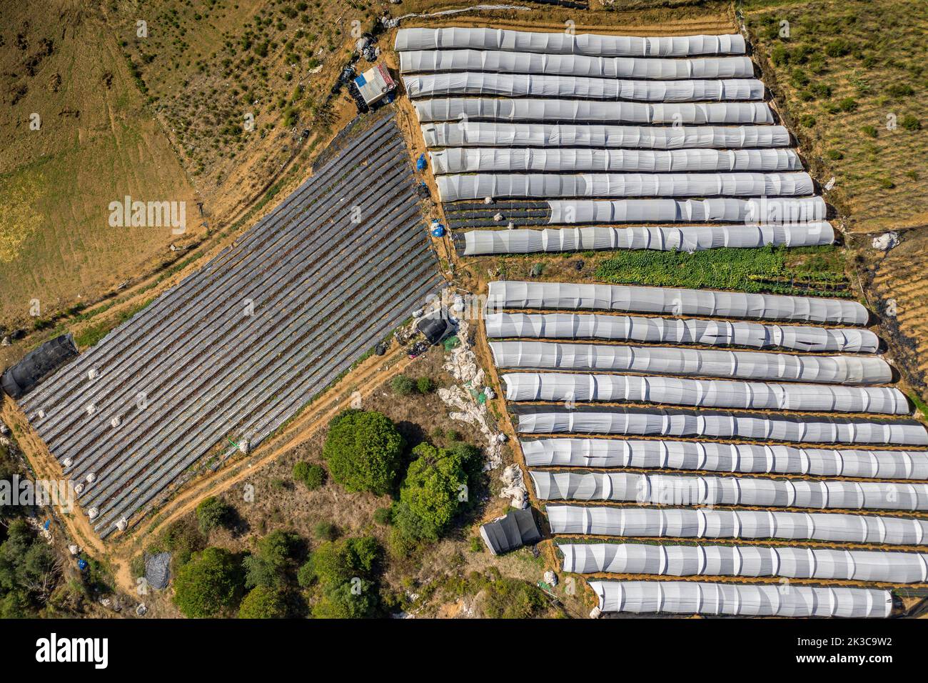 Luftaufnahme von Feldern und Gewächshäusern in der Nähe von Sant Cebrià de Vallalta (Maresme, Barcelona, Katalonien, Spanien) ESP: Vista aérea de campos e invernaderos Stockfoto