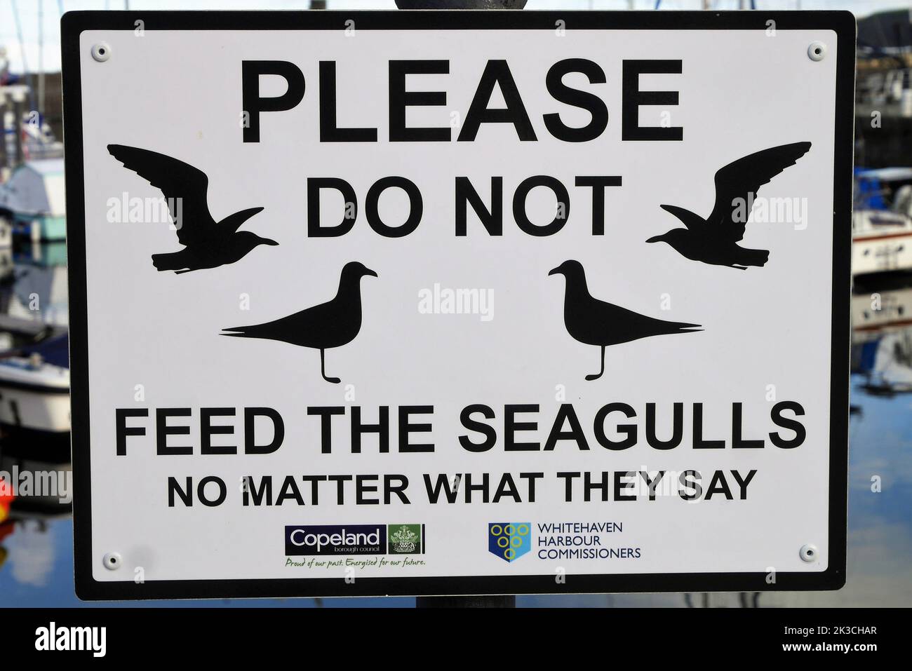 Amüsantes Don't 'Feed the Seagulls'-Schild, Whitehaven Harbour, Cumbria, England, Vereinigtes Königreich Stockfoto