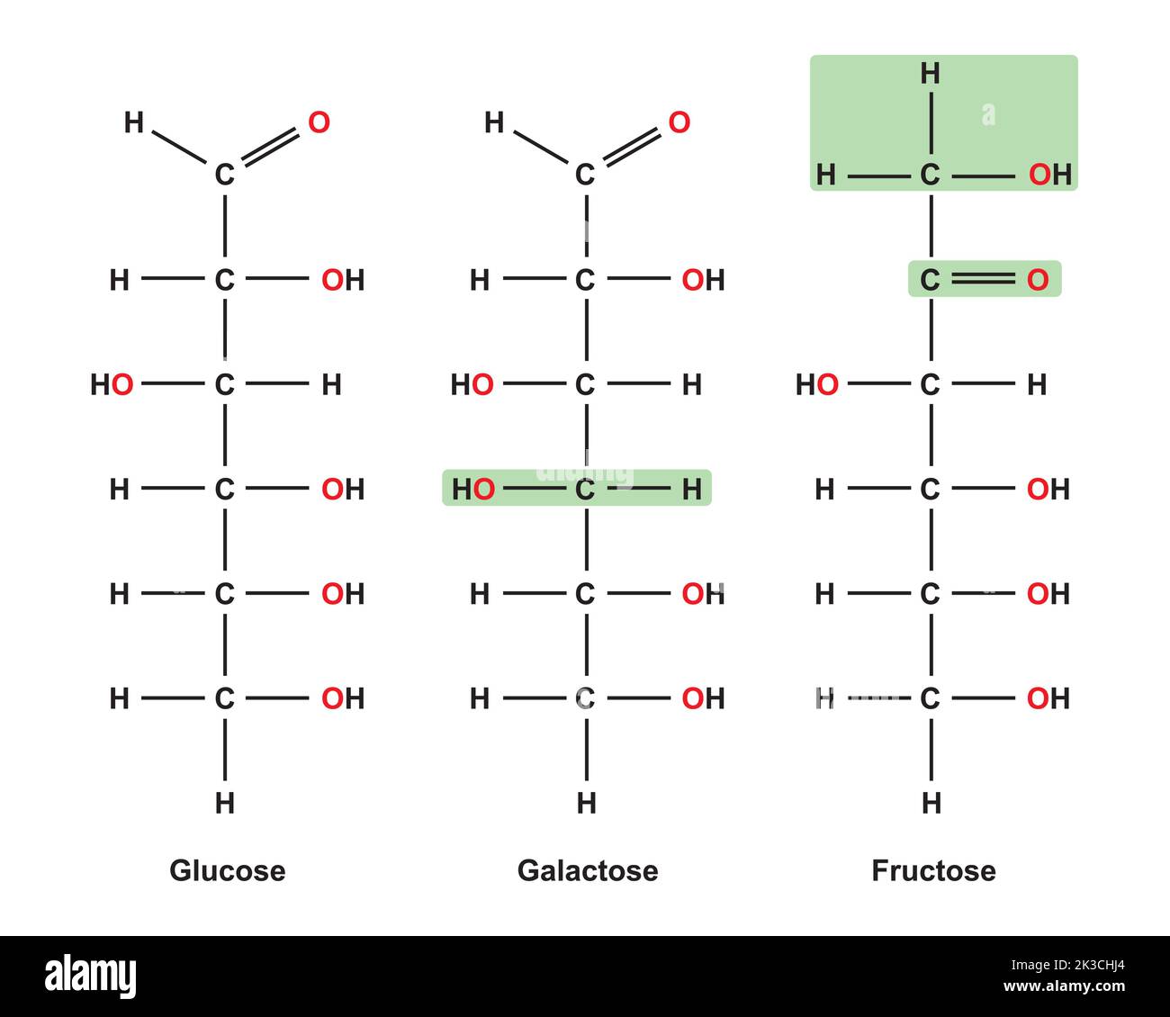 Chemische Illustration von Monosacchariden. Glukose, Fruktose Und Galaktose. Vektorgrafik. Stock Vektor