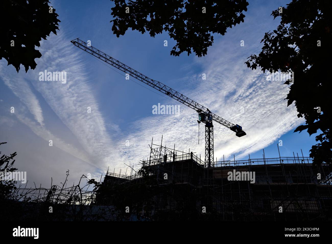 Silhouette eines Baukran auf einer Baustelle. Crane ist von Bäumen umrahmt und vor dem Hintergrund eines blauen Himmels mit weißen Wolken aufgestellt. Stockfoto