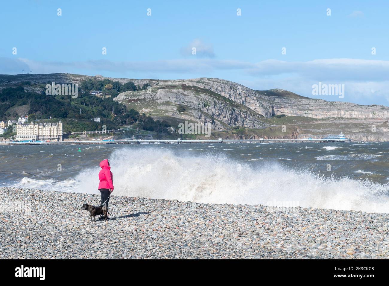 Llandudno, Nordwales, Großbritannien. 26. September 2022. Die Windböen der Windstärke treffen heute auf Llandudno an der Küste von Nordwales, was dazu führt, dass riesige Wellen auf den Strand treffen. Quelle: AG News/Alamy Live News Stockfoto
