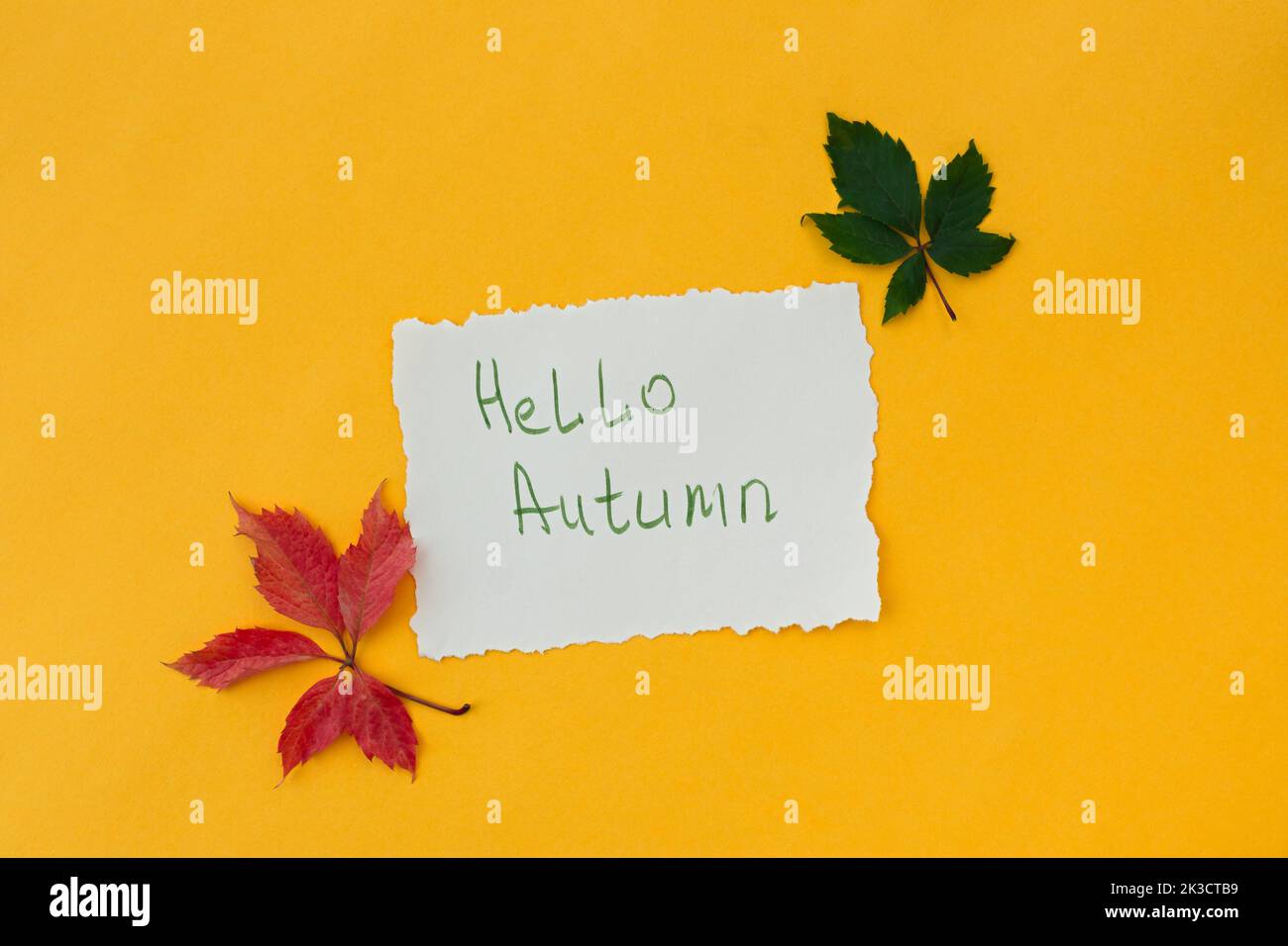 Hallo Herbst. Herbst gelber Hintergrund mit Papier vintage handgeschriebene Postkarte. Konzeptueller Minimalismus des Herbstbeginns. Kreative Mockup flach Lay Stockfoto