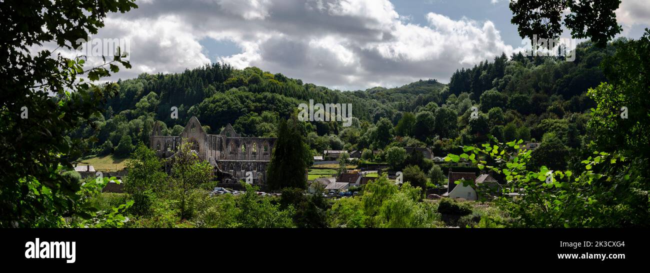 Die Abtei wurde am 1311. Mai von Walter de Clare gegründet und fiel nach der Auflösung der Klöster im 16.. Jahrhundert in den Ruin. Im Jahr 1984 Stockfoto