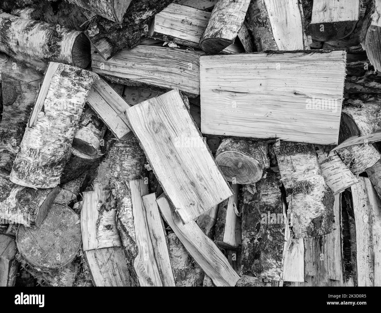 Birke in Stücke - schwarz-weiße Tapete Stockfoto