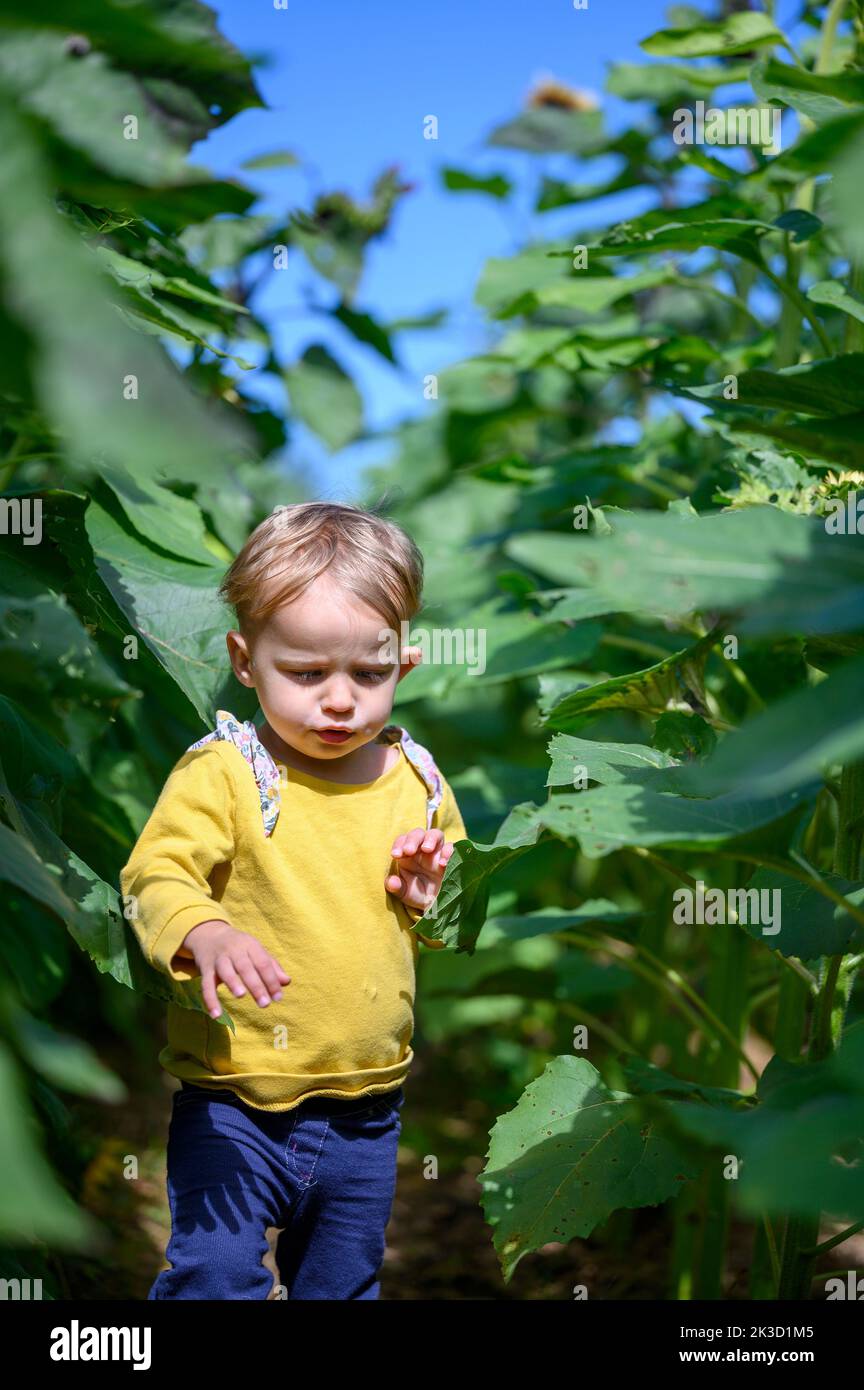 Auftauchende Kleinkinder Stockfoto