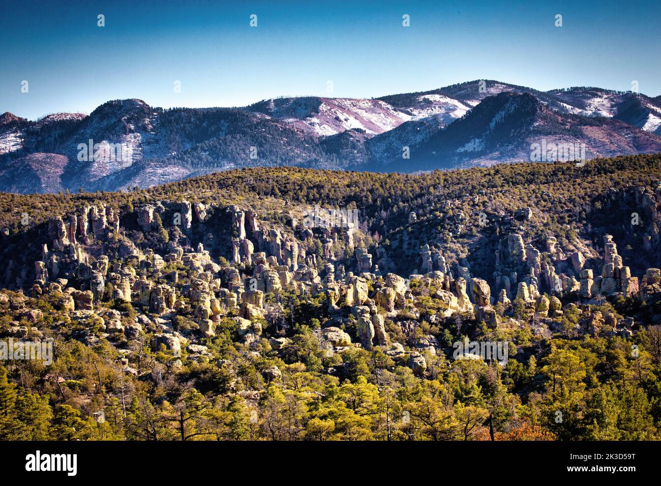 Die Felsformationen des Chiricahua National Monument in den Chiricahua Mountains im Südosten von Arizona. Stockfoto