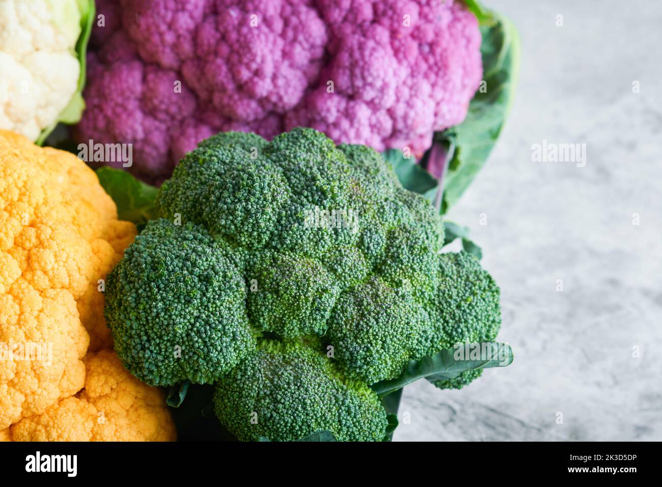 Colorfu-Blumenkohl. Verschiedene Arten von Blumenkohl auf grauem Beton Hintergrund. Violette, gelbe, weiße und grüne Farbkabbage. Brokkoli und Romanesco. Stockfoto