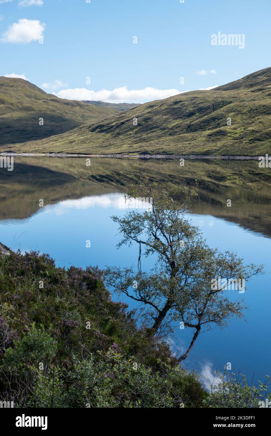 Highlands in der Gegend von Kinlochleven, Schottland Stockfoto