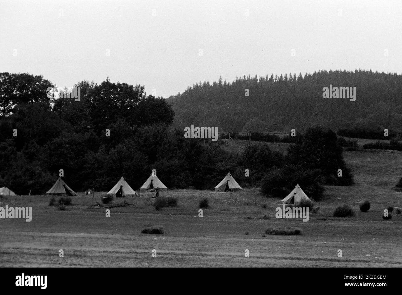 Campingplatz am Freilinger See bei Blankenheim in der Eifel, 1952. Campingplatz am Freiling See bei Blankenheim, Eifel, 1952. Stockfoto