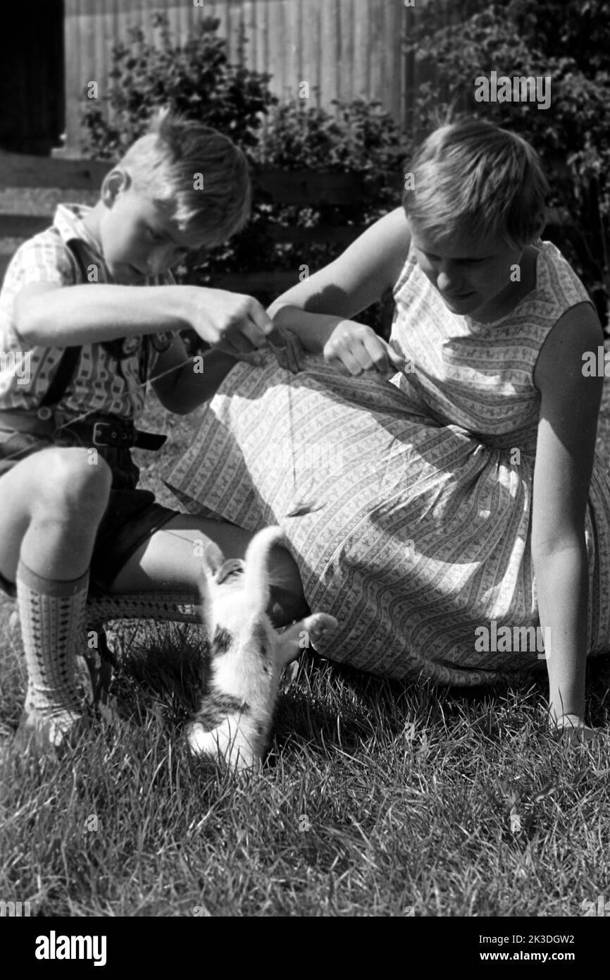 Die Kinder des Fotografen im Spiel mit einem Kätzchen, Berchtesgadener Land, um 1960. Die Kinder des Fotografen spielen mit einem Kätzchen, Berchtesgaden, um 1960. Stockfoto