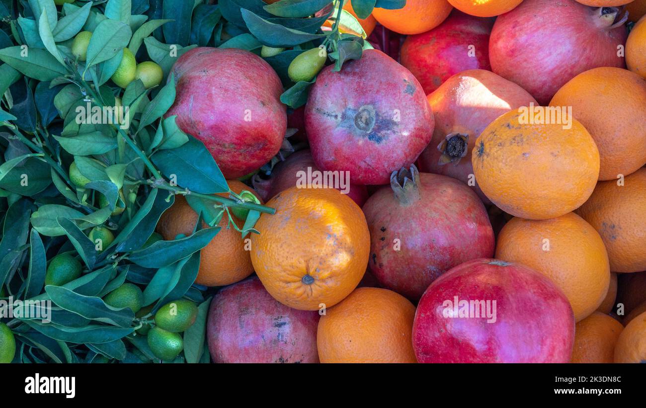 Fruchtiger Hintergrund von Granatäpfeln, Orangen und Oliven auf einem Zweig Stockfoto