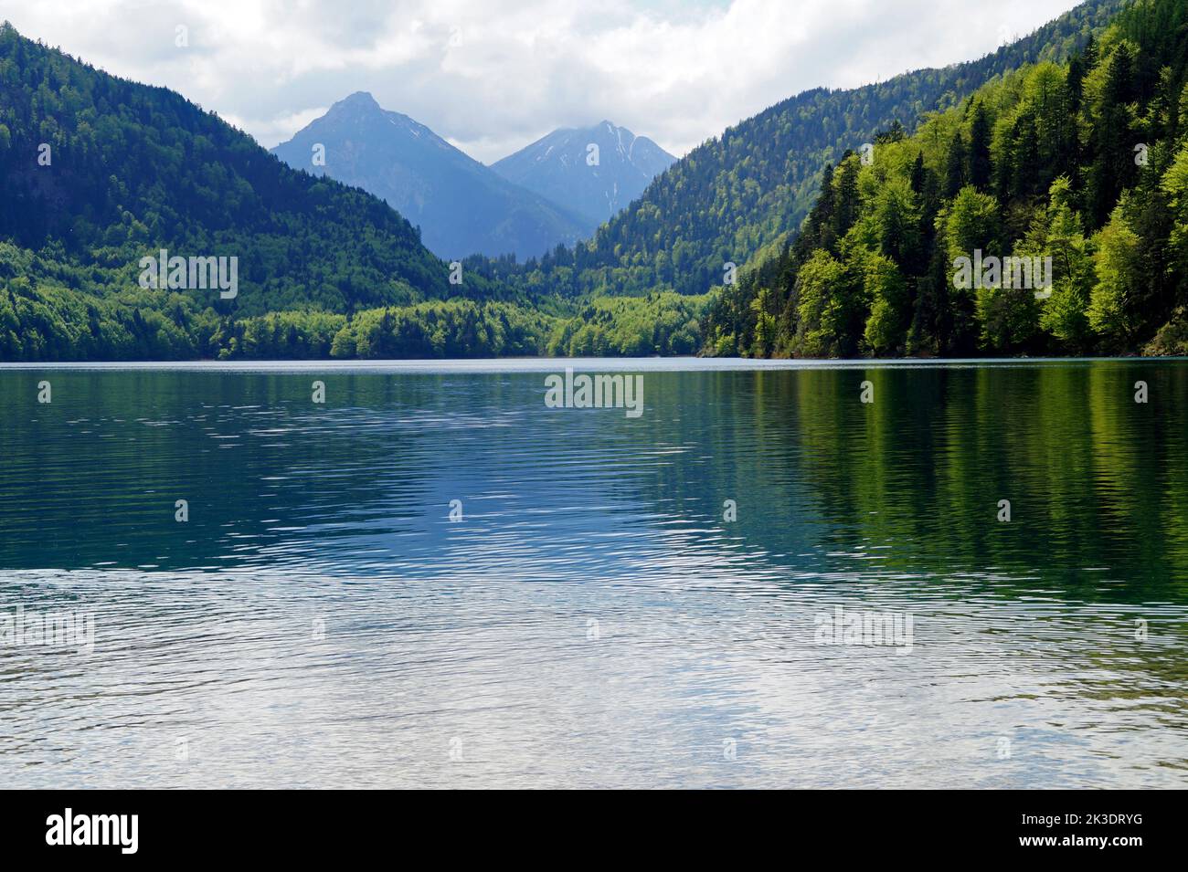 Wunderschöner smaragdgrüner Alpsee in den deutschen Alpen in Hohenschwangau bei den Schlössern Hohenschwangau und Neuschwanstein, Allgau, Bayern, Deutschland Stockfoto