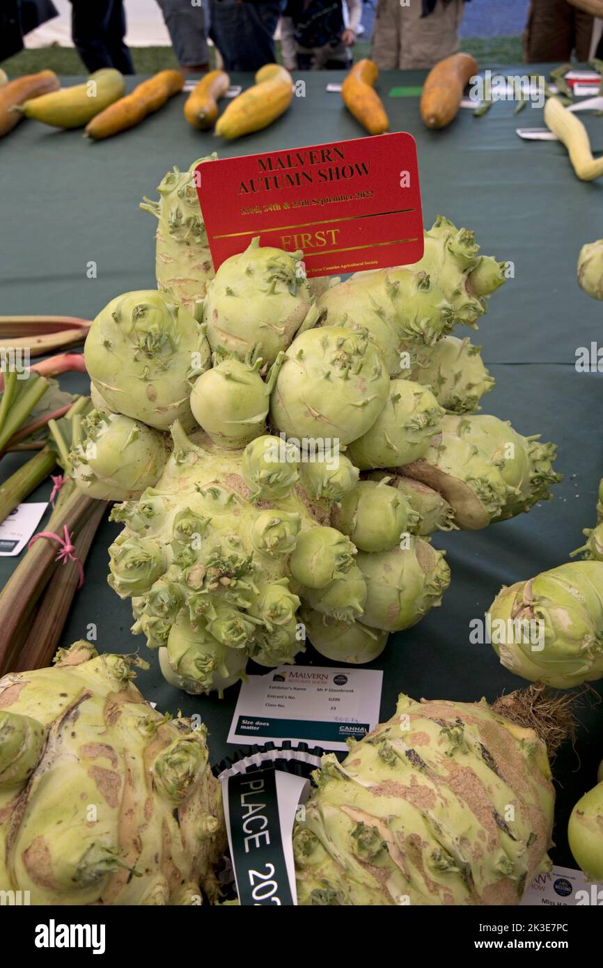 Einige der riesigen Gemüse auf der Three Counties Autumn Show Great Malvern, Großbritannien Stockfoto