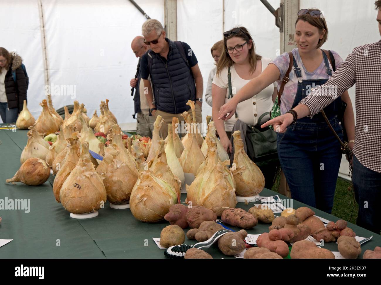 Besucher, die riesige Zwiebeln und einige der riesigen Gemüse auf der Three Counties Autumn Show Great Malvern, Großbritannien, ansehen Stockfoto