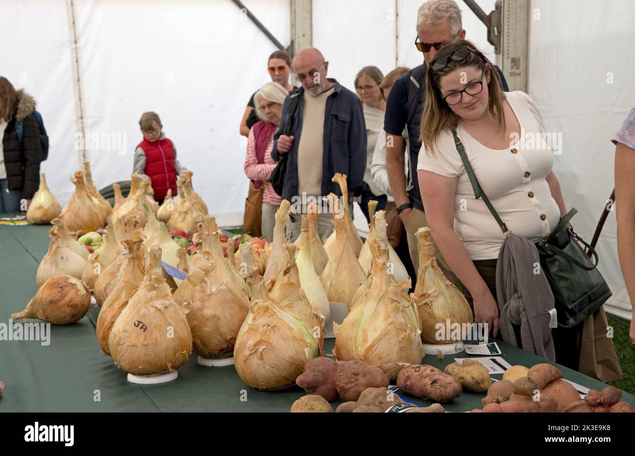 Besucher, die riesige Zwiebeln und einige der riesigen Gemüse auf der Three Counties Autumn Show Great Malvern, Großbritannien, ansehen Stockfoto
