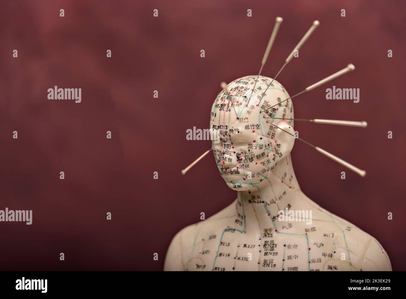 Schaufensterpuppe mit Akupunkturpunkten und Meridianen. Stockfoto