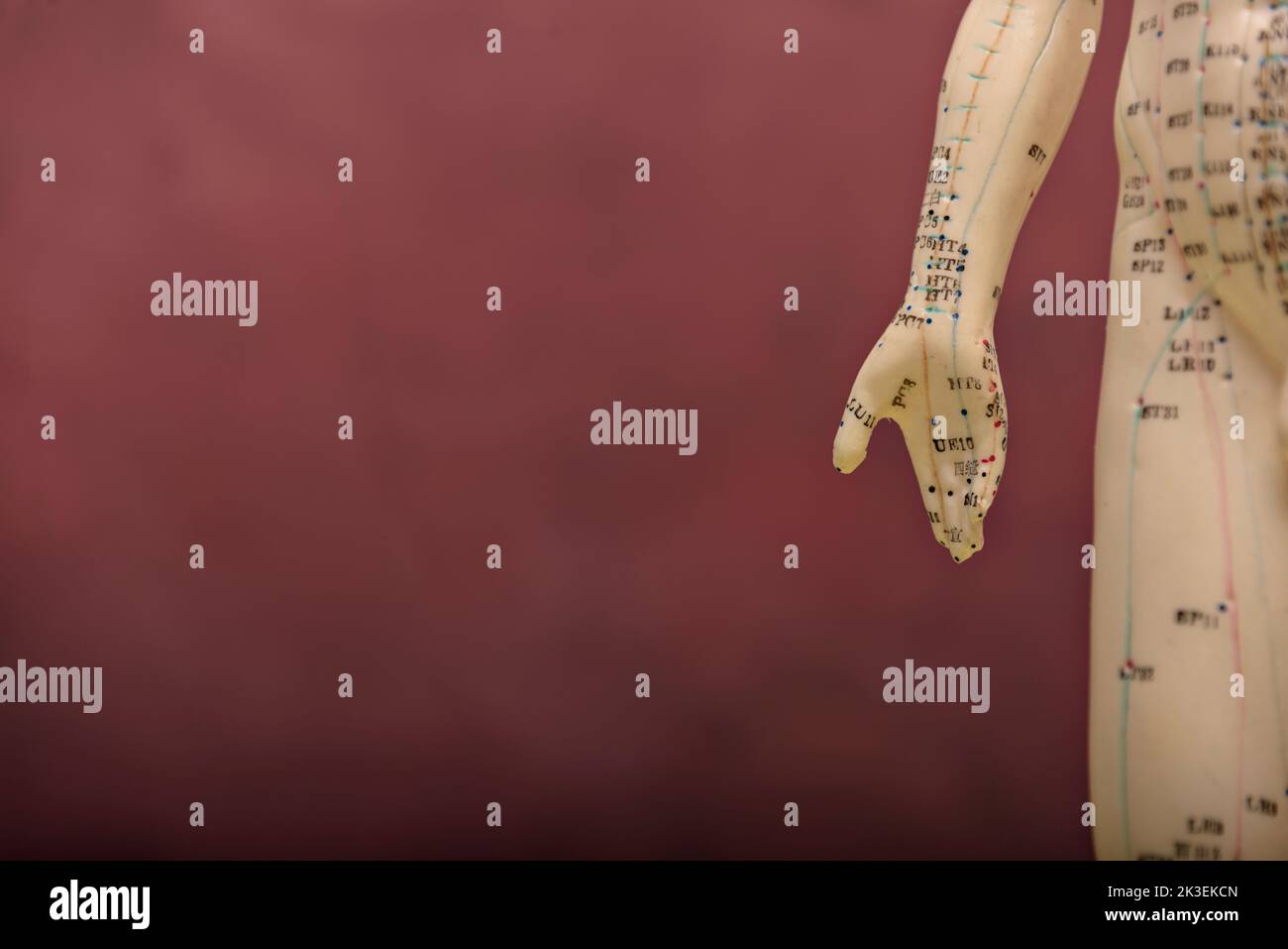 Schaufensterpuppe mit Akupunkturpunkten und Meridianen. Stockfoto