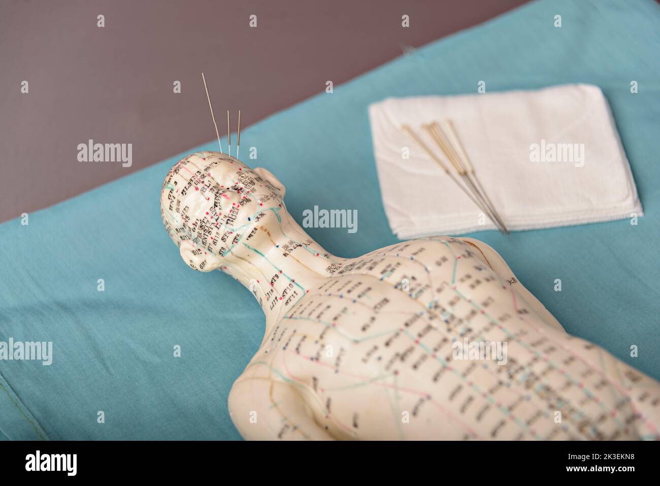 Akupunkturmodell Energiemeridiane Nachrichtenbanner. Akupunkturdummy mit Meridianen und Platz zum Kopieren. Stockfoto