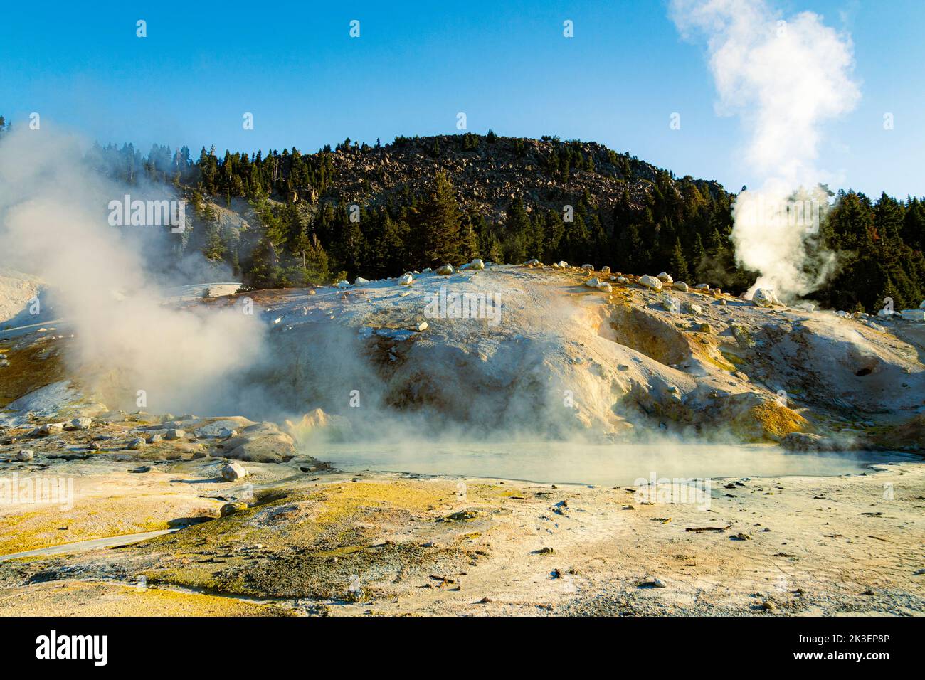 Großer kochender Schlammtopf in Bumpass Hell im Lassen Volcanic National Park - Nordkalifornien, USA. Stockfoto