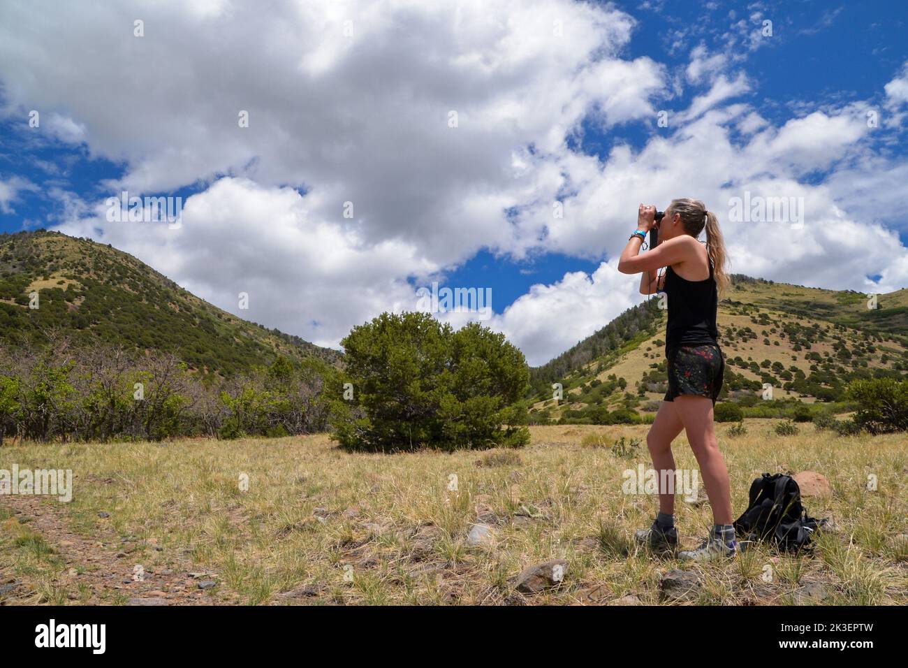 Eine Frau in Shorts und einem Oberteil mit Weste schaut durch ein Fernglas, während sie in den Bergen bei Moffatt in Colorado, USA, unterwegs ist Stockfoto