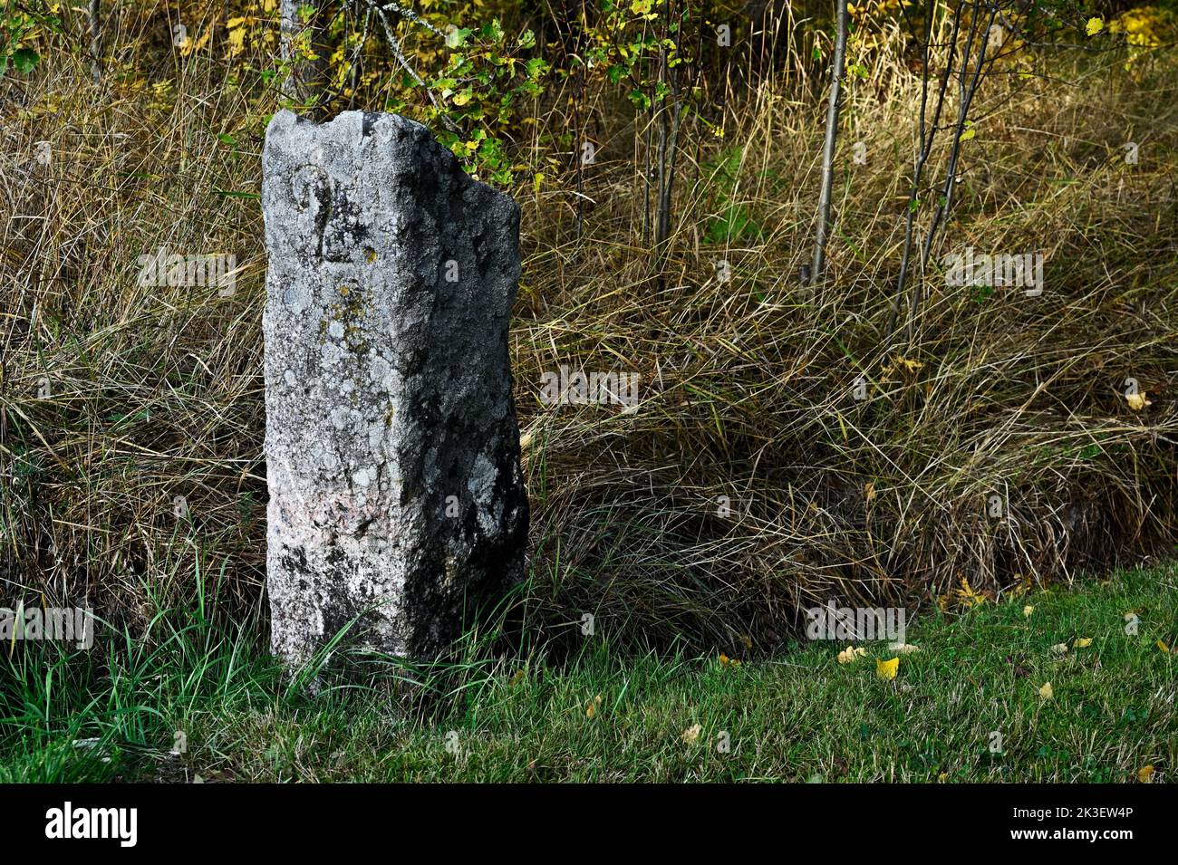 Granit Grenzstein mit Moos im Wald Stockfoto