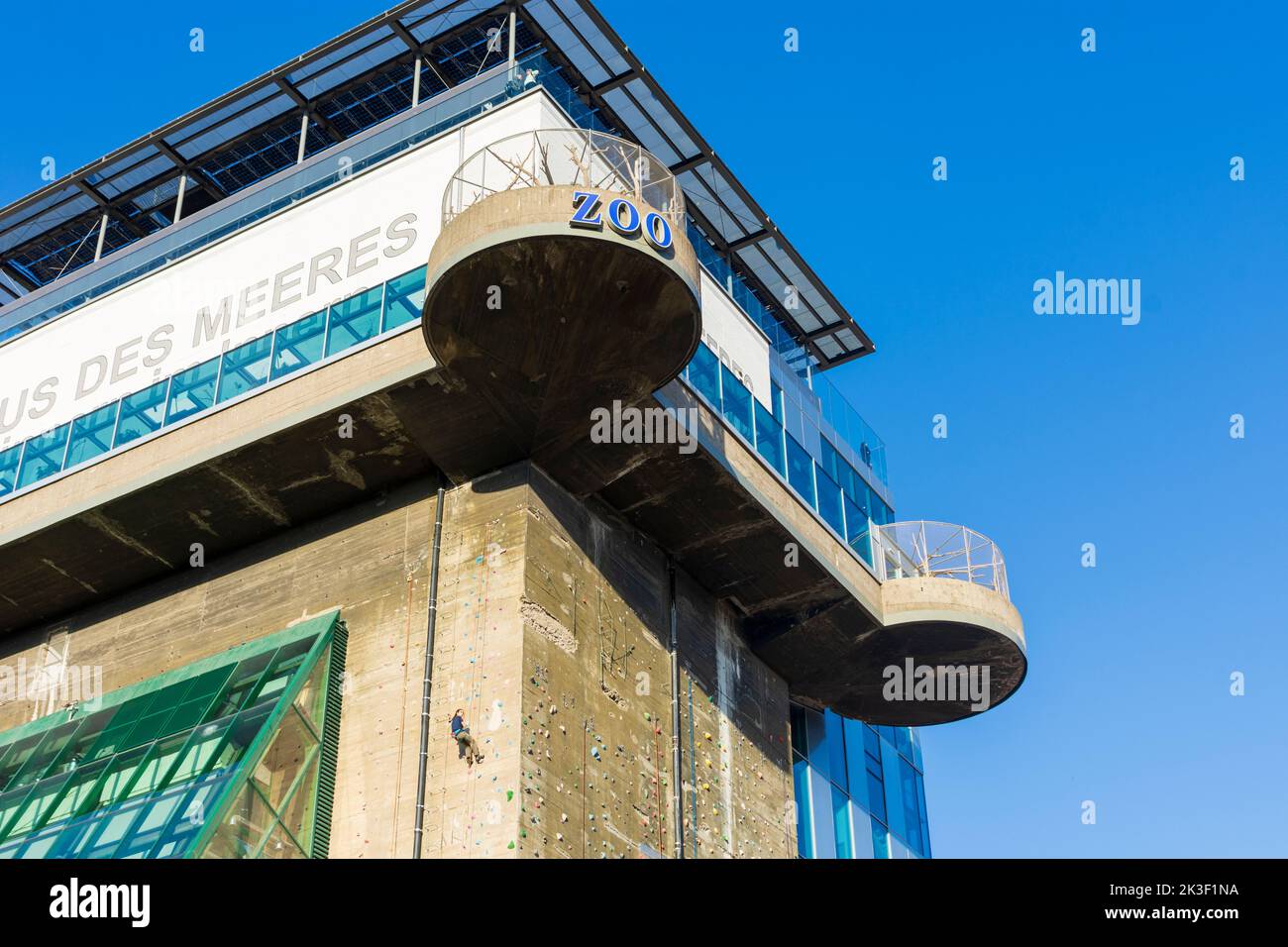 Wien, Wien: Öffentliches Aquarium des Hauses des Meeres im ehemaligen Flakenturm, Kletterwand 06. Mariahilf, Wien, Österreich Stockfoto