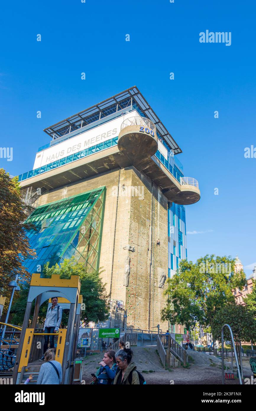 Wien, Wien: Öffentliches Aquarium des Hauses des Meeres im ehemaligen Flakenturm, Kletterwand 06. Mariahilf, Wien, Österreich Stockfoto