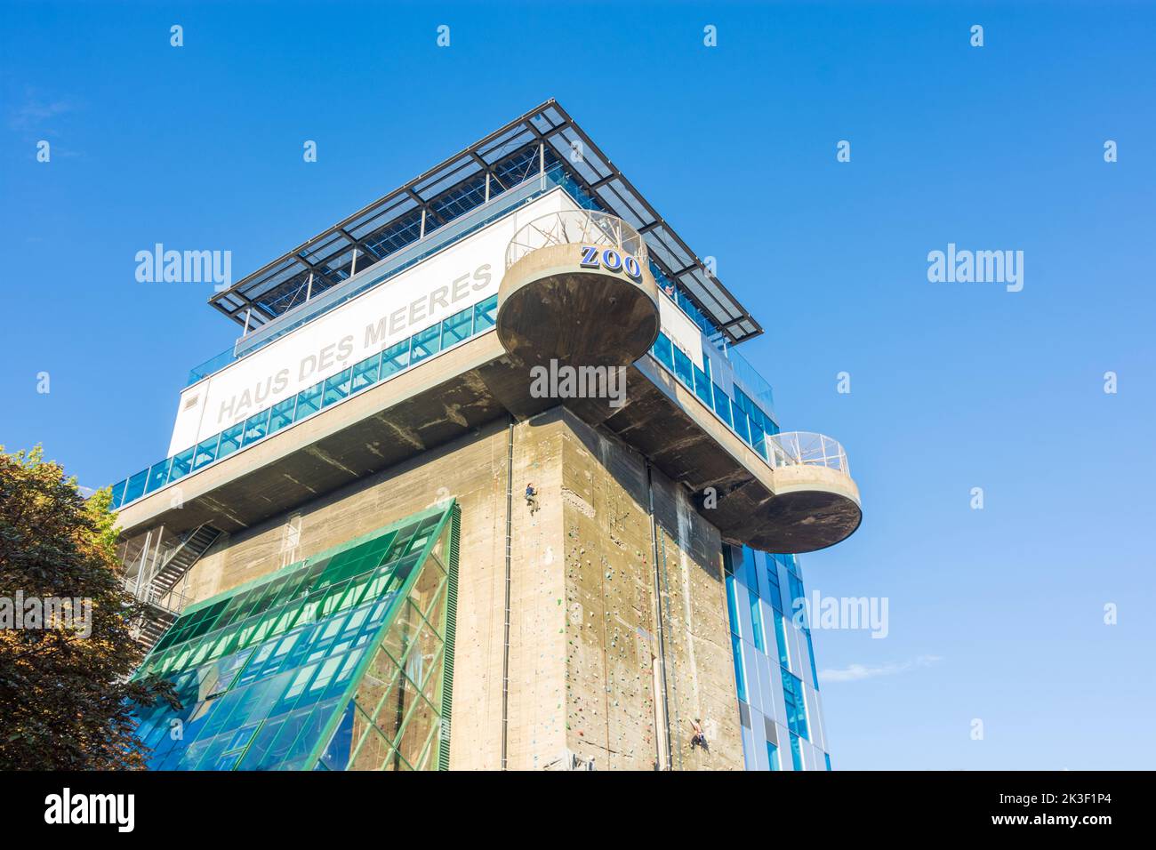Wien, Wien: Öffentliches Aquarium des Hauses des Meeres im ehemaligen Flakenturm, Kletterwand 06. Mariahilf, Wien, Österreich Stockfoto