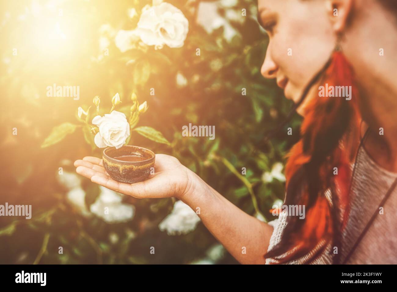 Kakaozeremonie im Garten, herzöffnende Medizin. Zeremonienraum. Rosenhintergrund. Stockfoto