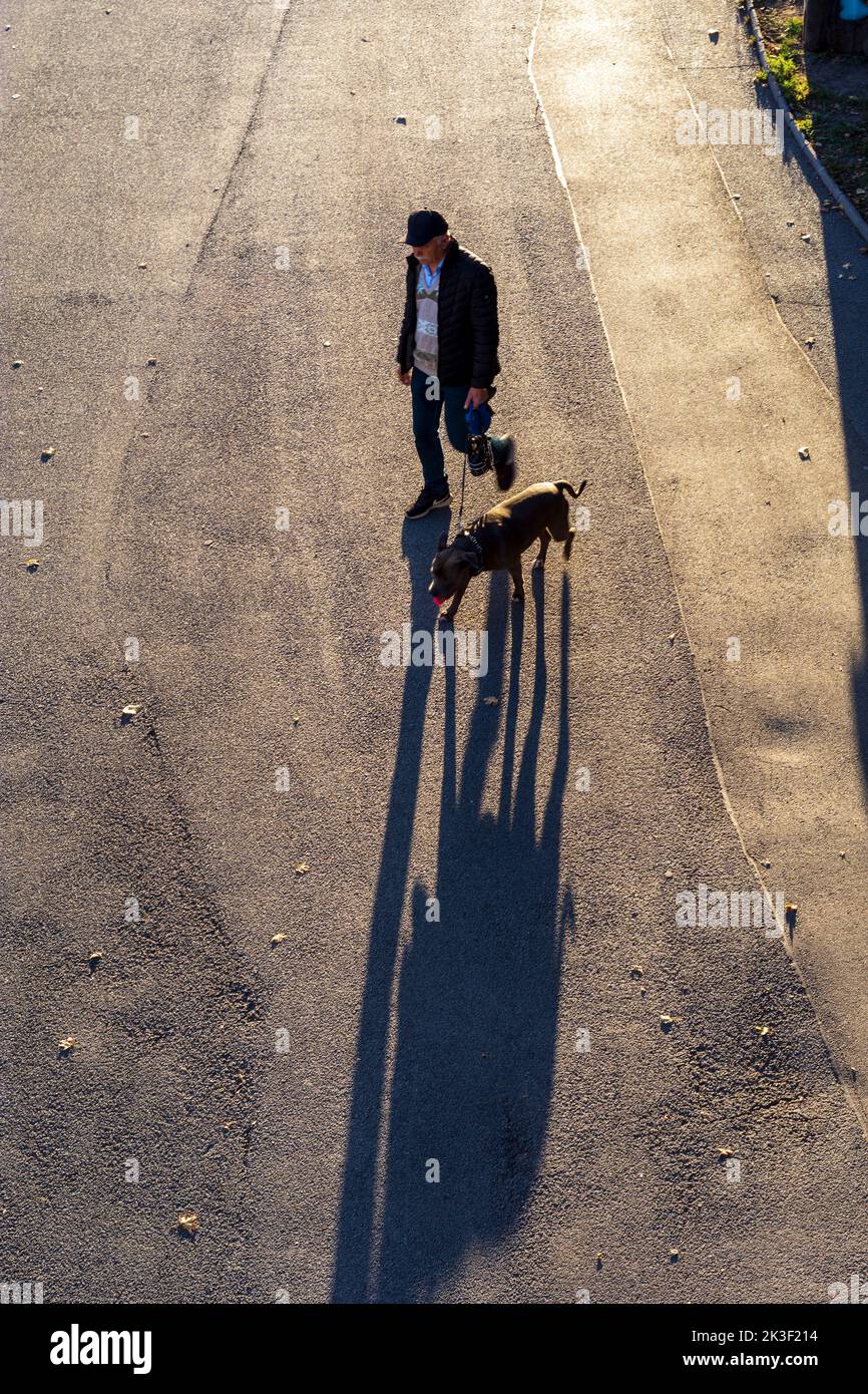 Wien, Wien: Mann mit Hund, lange Schatten 02. Leopoldstadt, Wien, Österreich Stockfoto