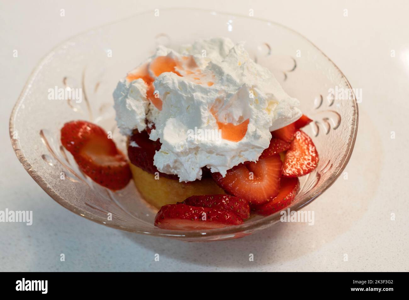Erdbeer-Shortcake, bestehend aus frisch geschnittenen Erdbeeren auf einem Biskuitkuchen mit Schlagsahne darauf. Ein amerikanisches Dessert. USA. Stockfoto