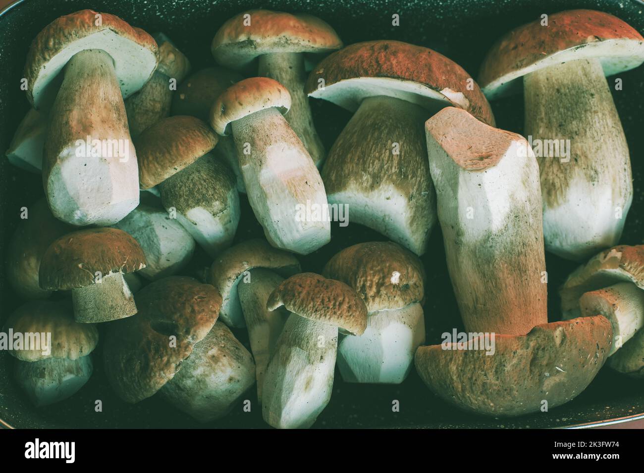 Frische Steinpilze auf einem Tablett in der Küche. Stockfoto