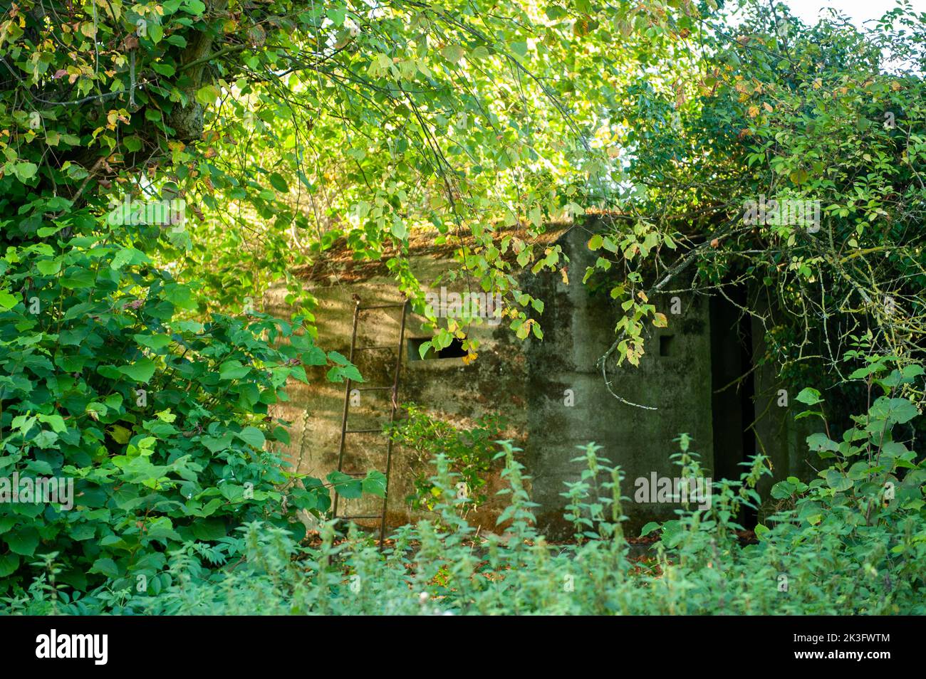 Hidden Pillbox, Howberry Park, Oxfordshire Stockfoto