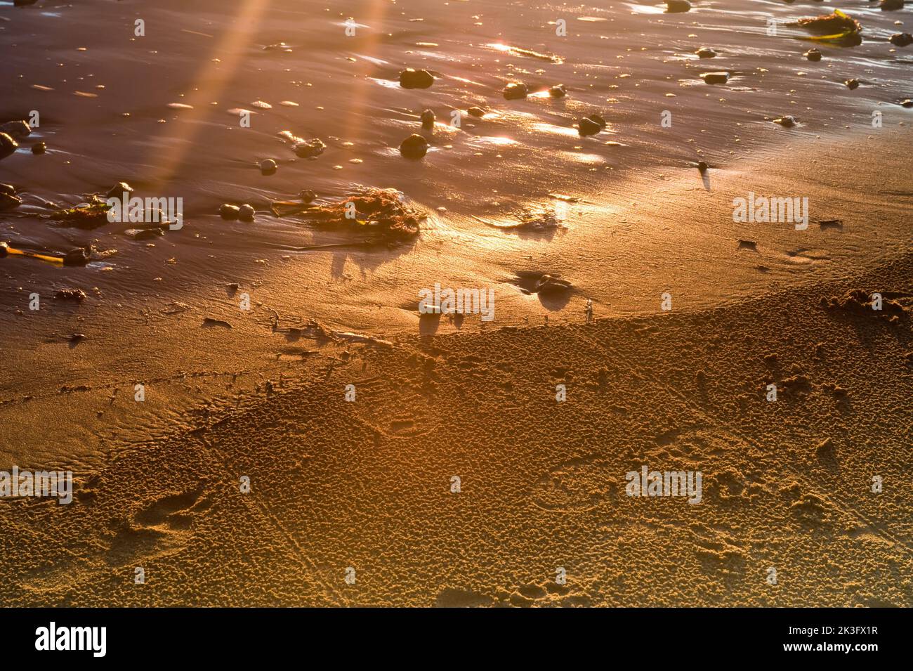 Die Sonne trifft auf den goldenen Sand an einem Strand auf der Isle of Wight Stockfoto
