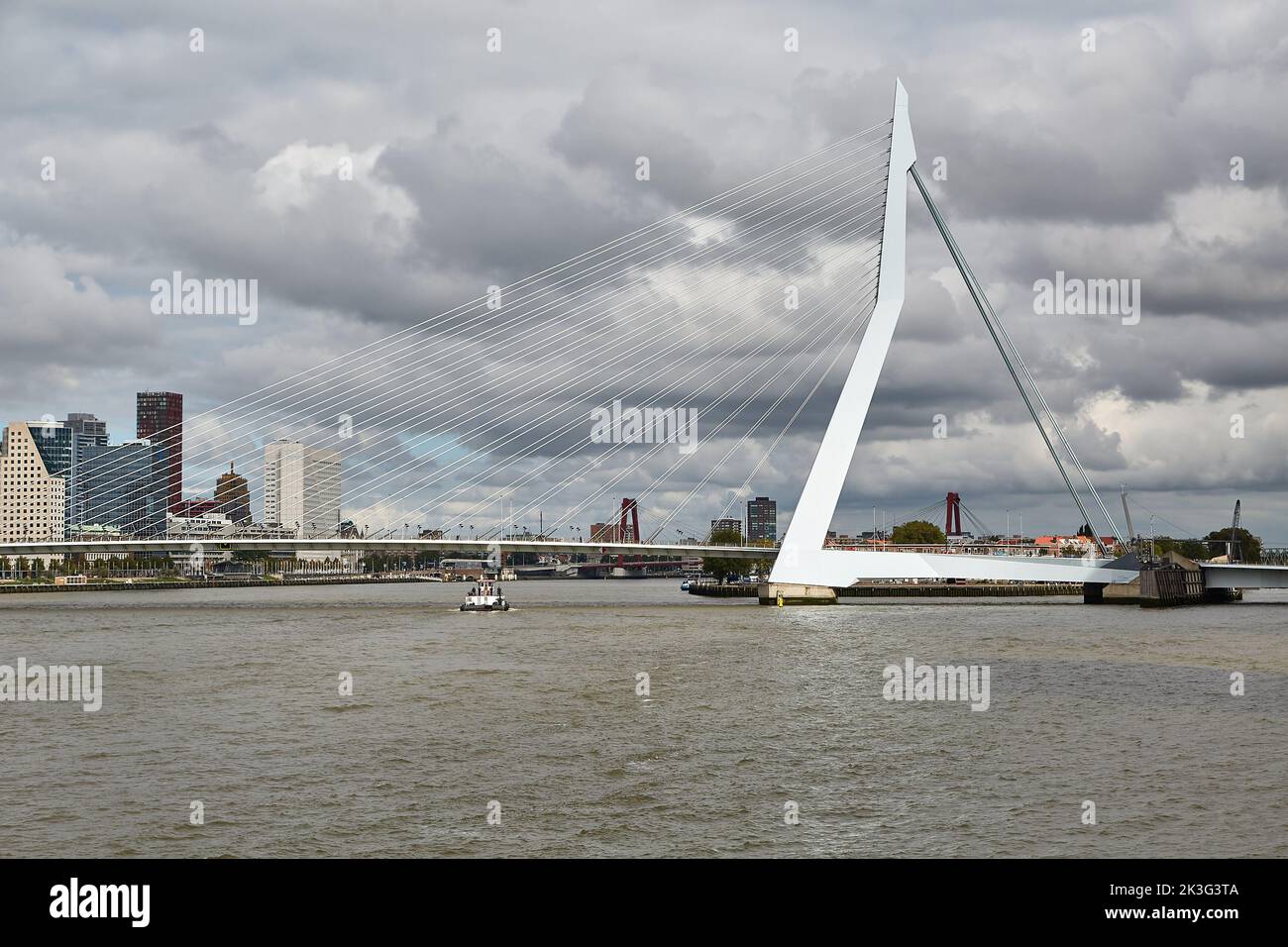 Rotterdam aus dem Wasser Stockfoto