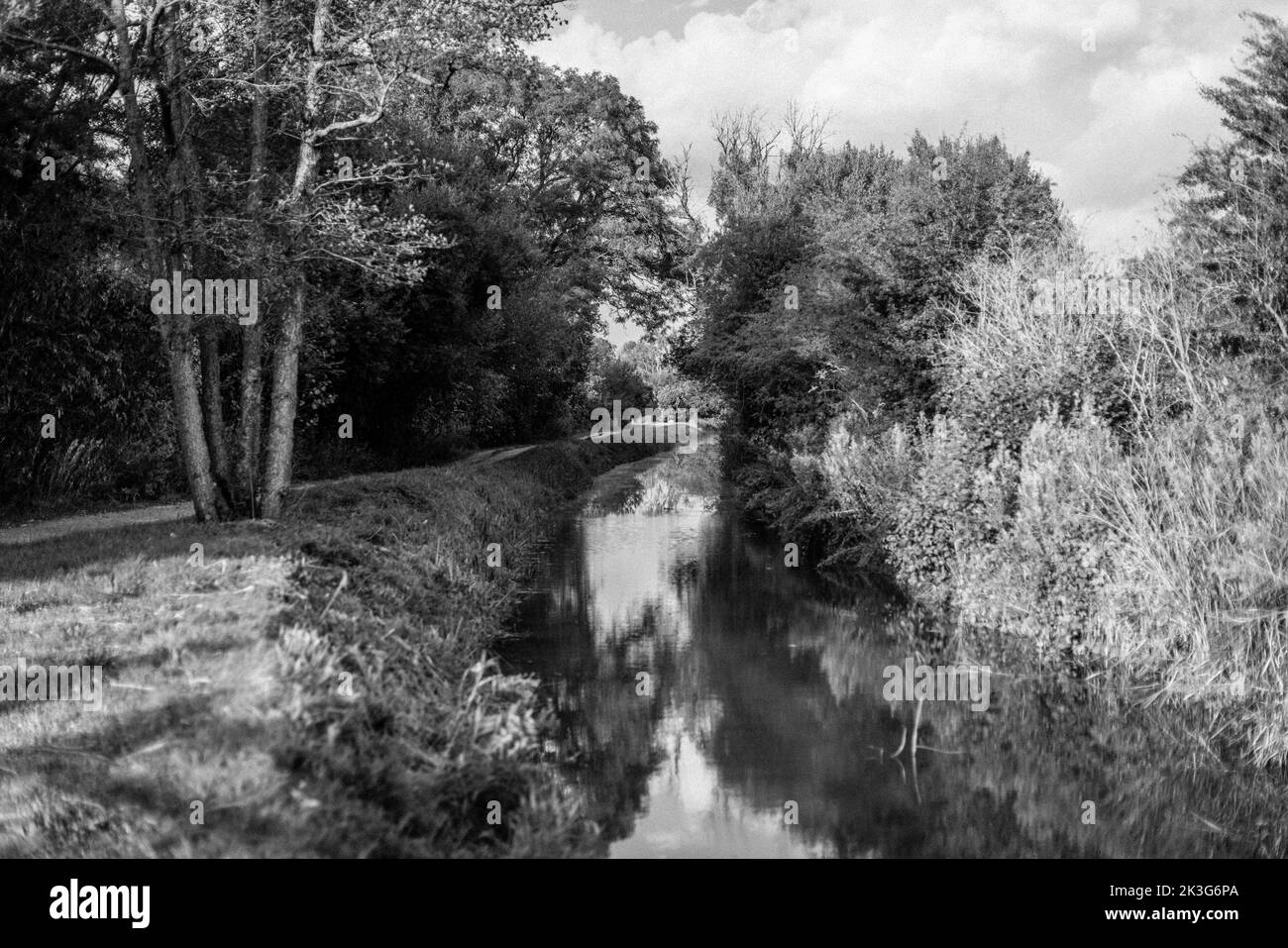 Ein reparierter, zurückgewonnener Abschnitt der Wilts. Und Berks. Kanal in der Nähe von Pewsham in Chippenham, Wiltshire. Repariert durch den Wilts and Berks Canal Trust. Stockfoto