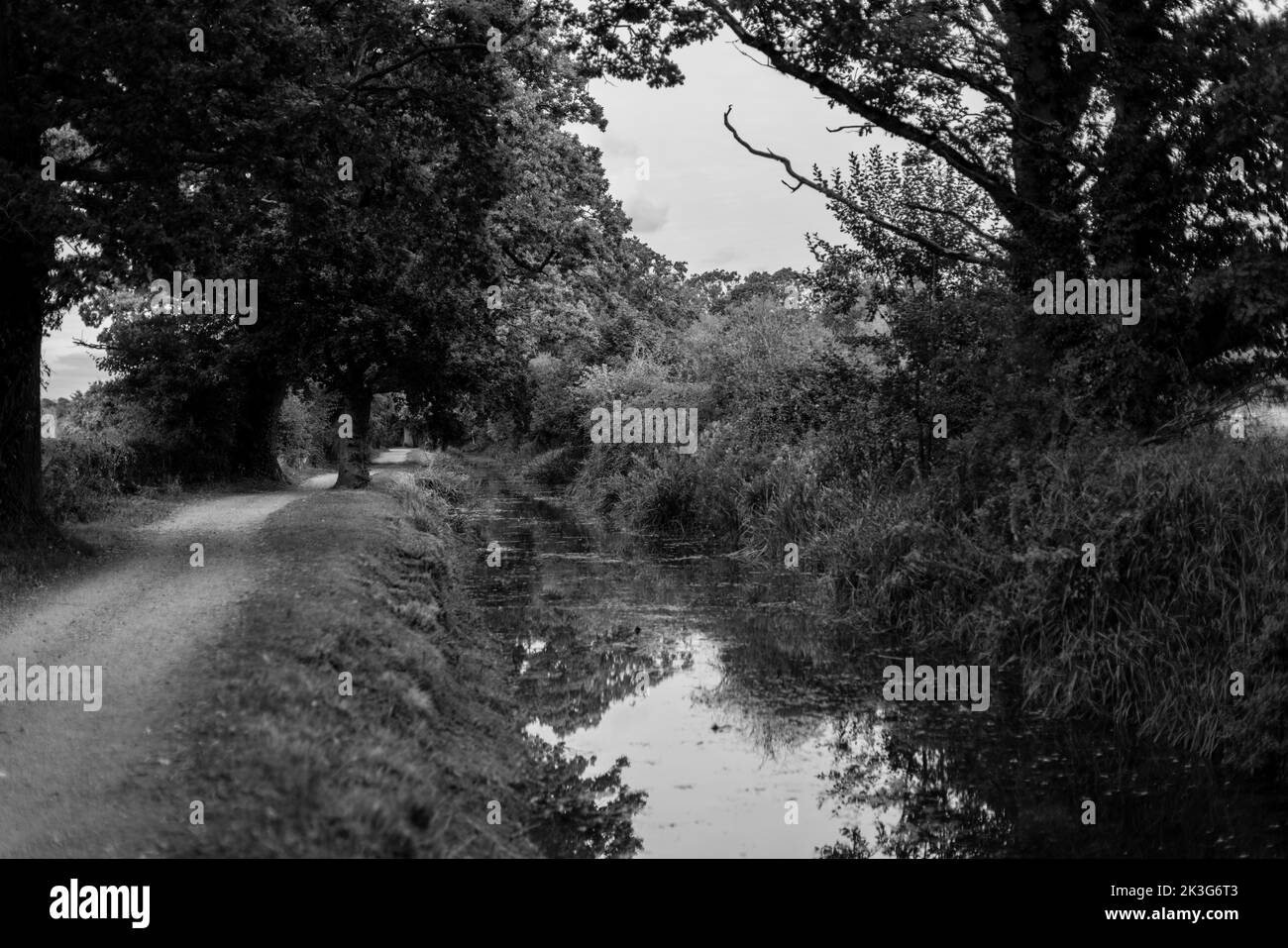 Ein reparierter, zurückgewonnener Abschnitt der Wilts. Und Berks. Kanal in der Nähe von Pewsham in Chippenham, Wiltshire. Repariert durch den Wilts and Berks Canal Trust. Stockfoto