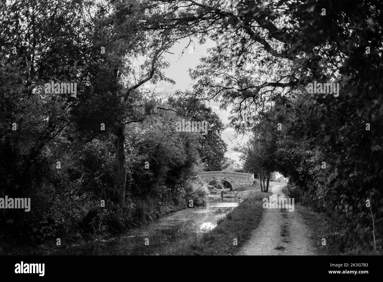 Rote Backsteinbrücke auf dem alten Kanal zwischen Pewsham und Lacock, restauriert von den Wilts. Und Berks. Canal Trust. Herbsttag. Stockfoto