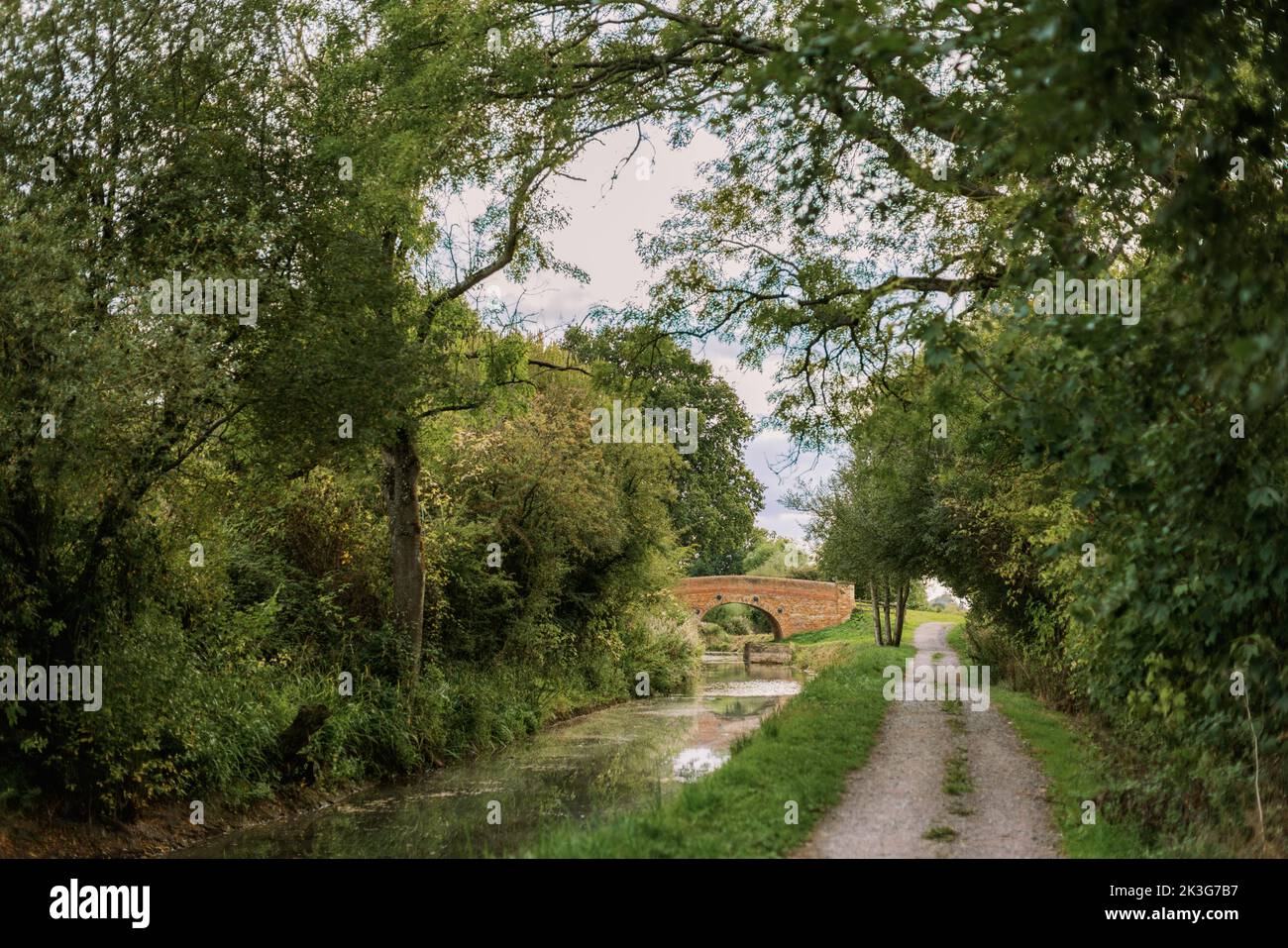 Rote Backsteinbrücke auf dem alten Kanal zwischen Pewsham und Lacock, restauriert von den Wilts. Und Berks. Canal Trust. Herbsttag. Stockfoto
