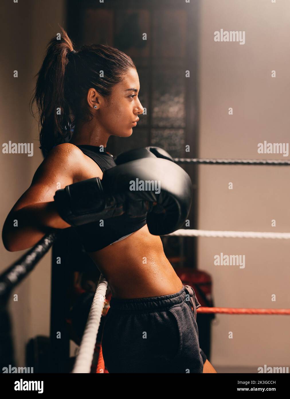 Muskulöse Boxerin, die sich in einem Boxring an den Seilen lehnt. Selbstbewusste weibliche Athletin, die sich auf einen Boxkampf vorbereitet. Stockfoto