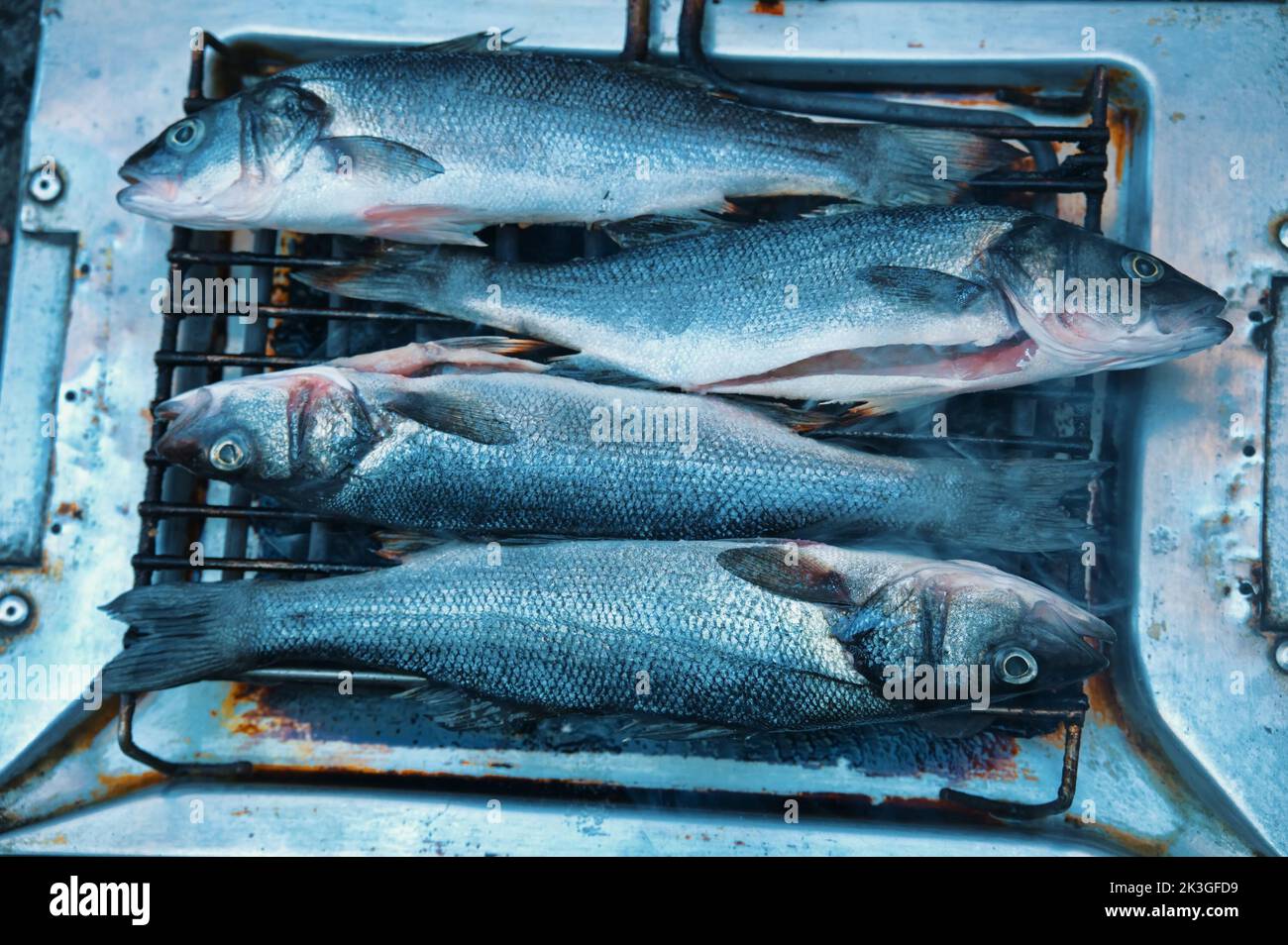 Flaches Lay von Grillfisch auf Gridiron Stockfoto