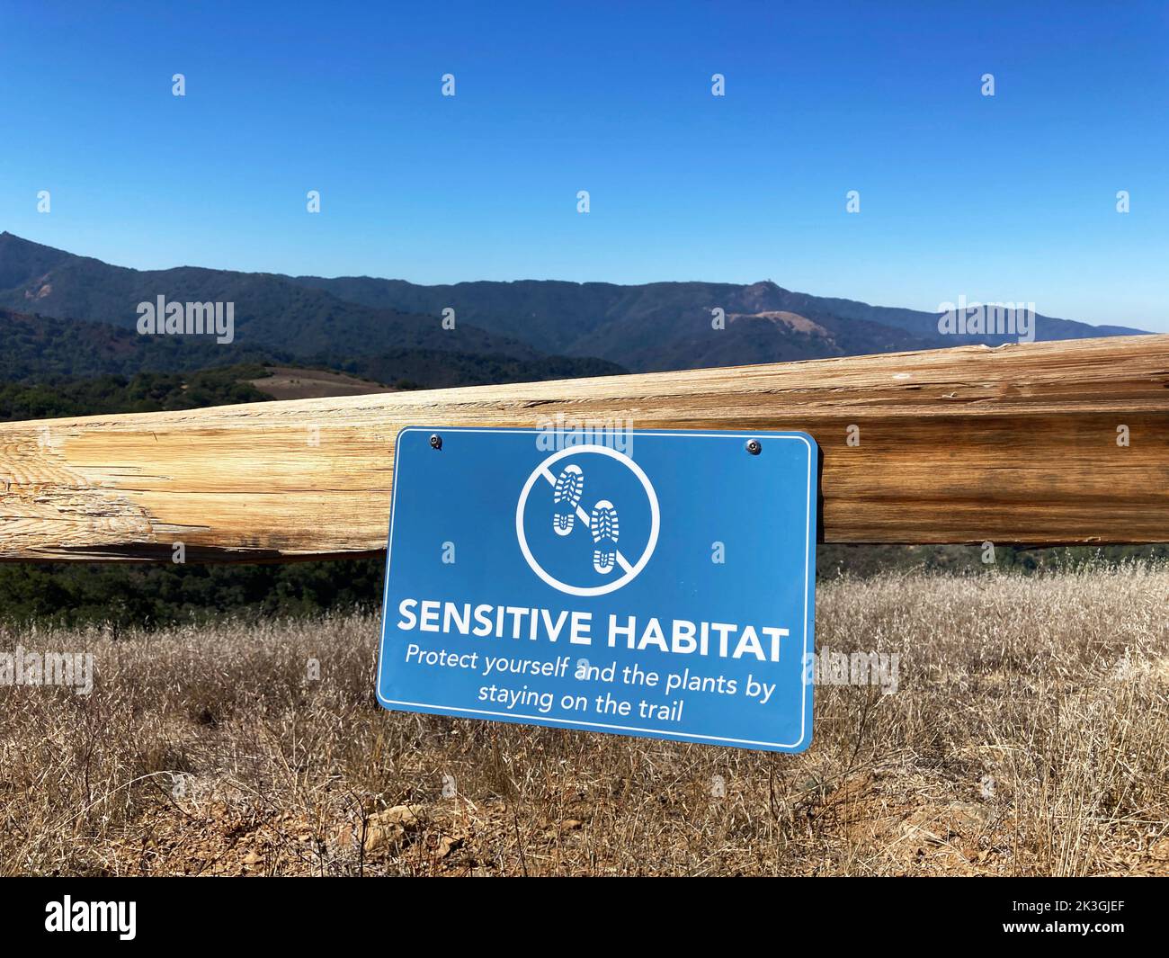 Schild „Sensitive Habitat“ im Freien auf einem Holzzaun angebracht. Stockfoto