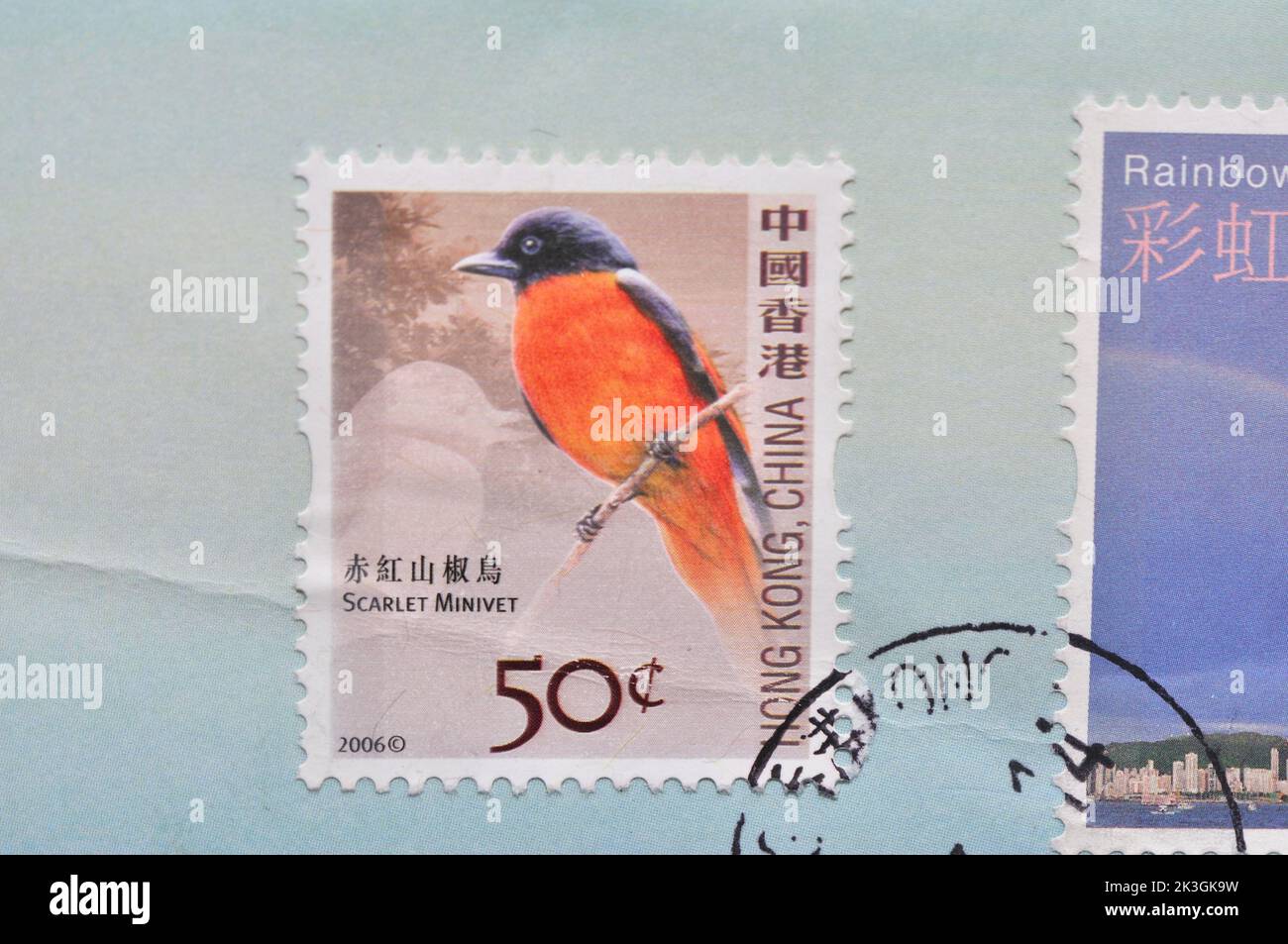 Hongkong - UM 2006:Eine in Hongkong gedruckte Marke zeigt Vogel Scarlet Minivet, um 2006 Stockfoto