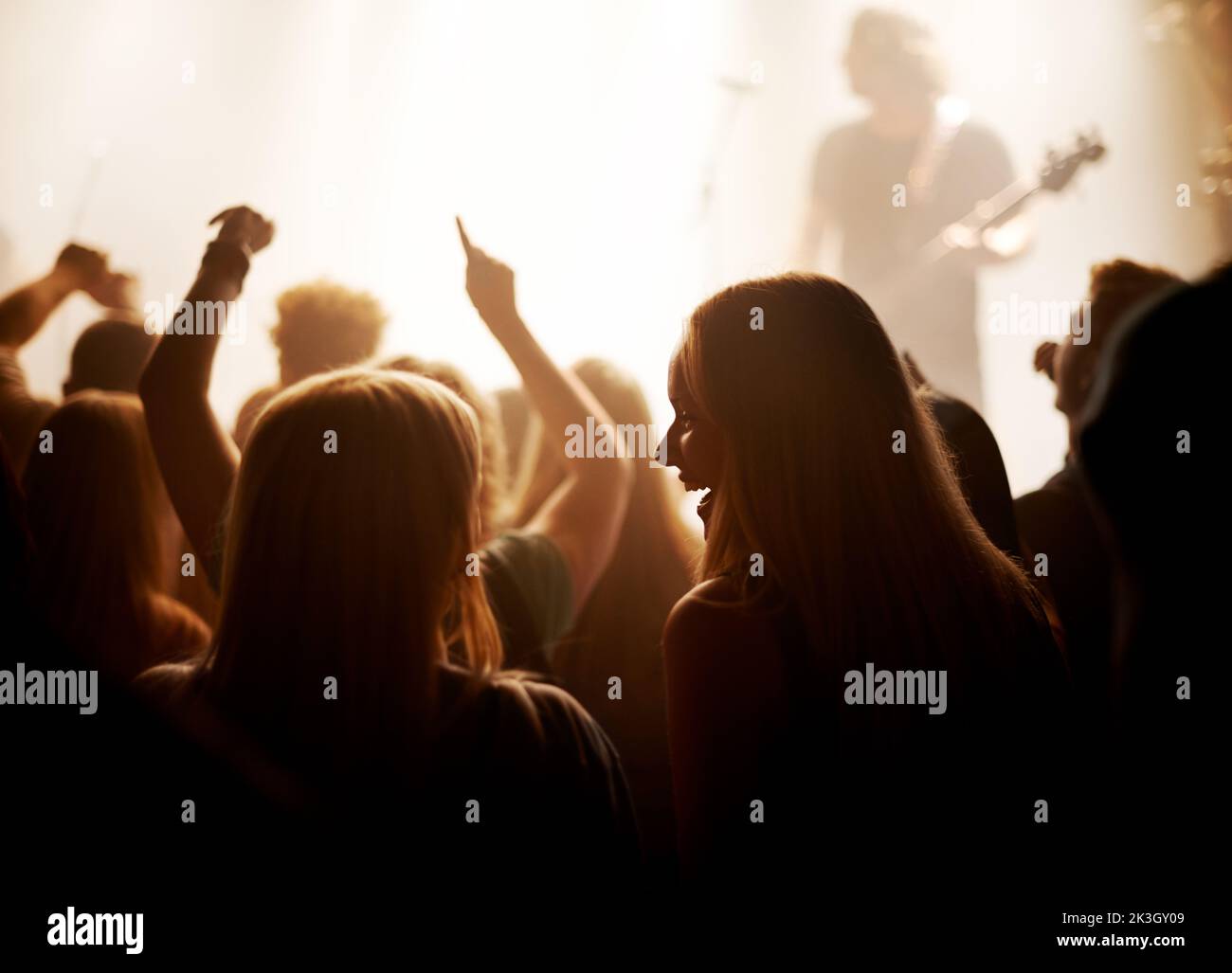 Golden Circle - in der Nähe der Bühne. Ein großes Publikum bei einem Musikkonzert. Stockfoto